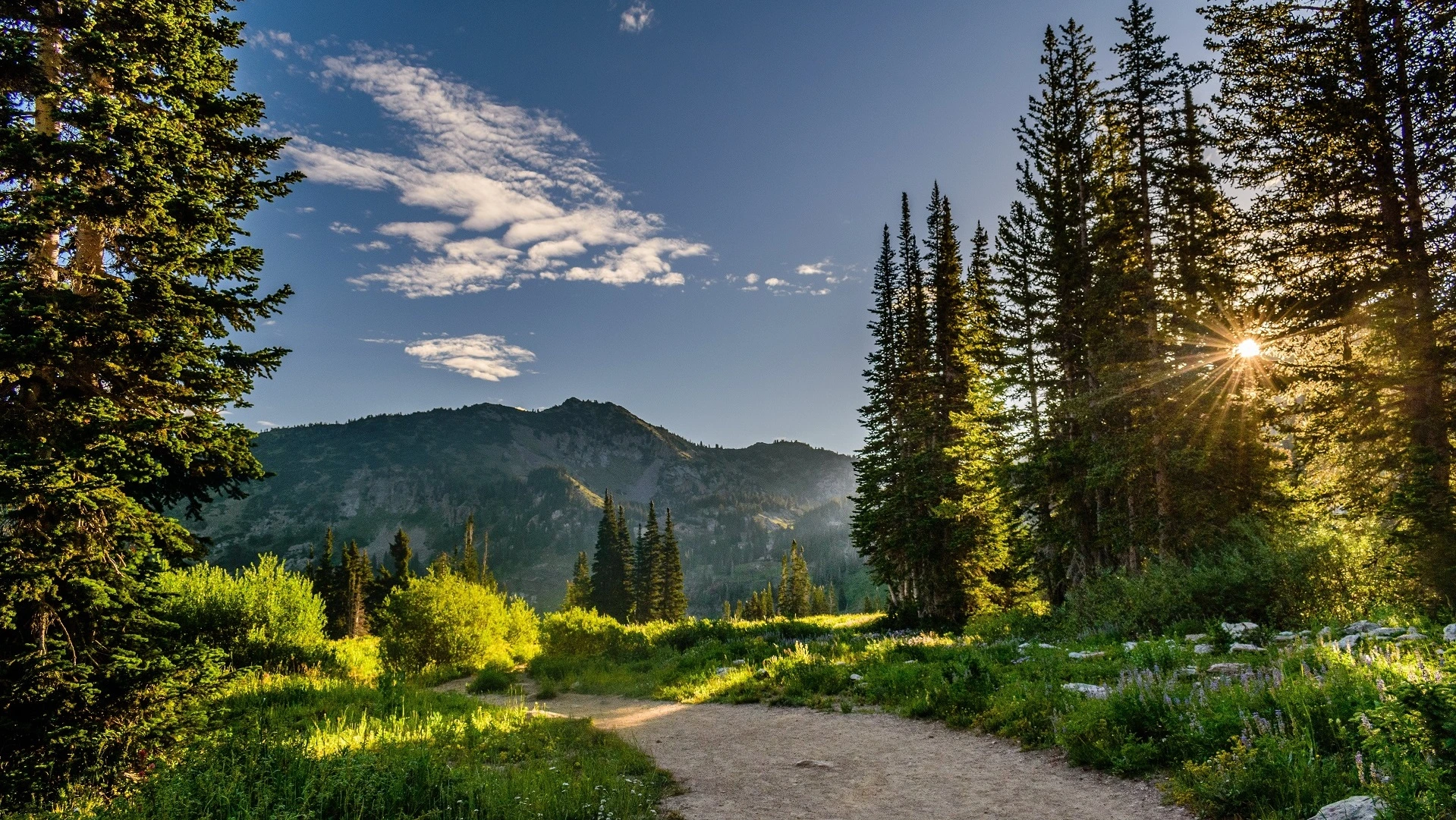 Free Spirit: Der Weg zum Erfolg