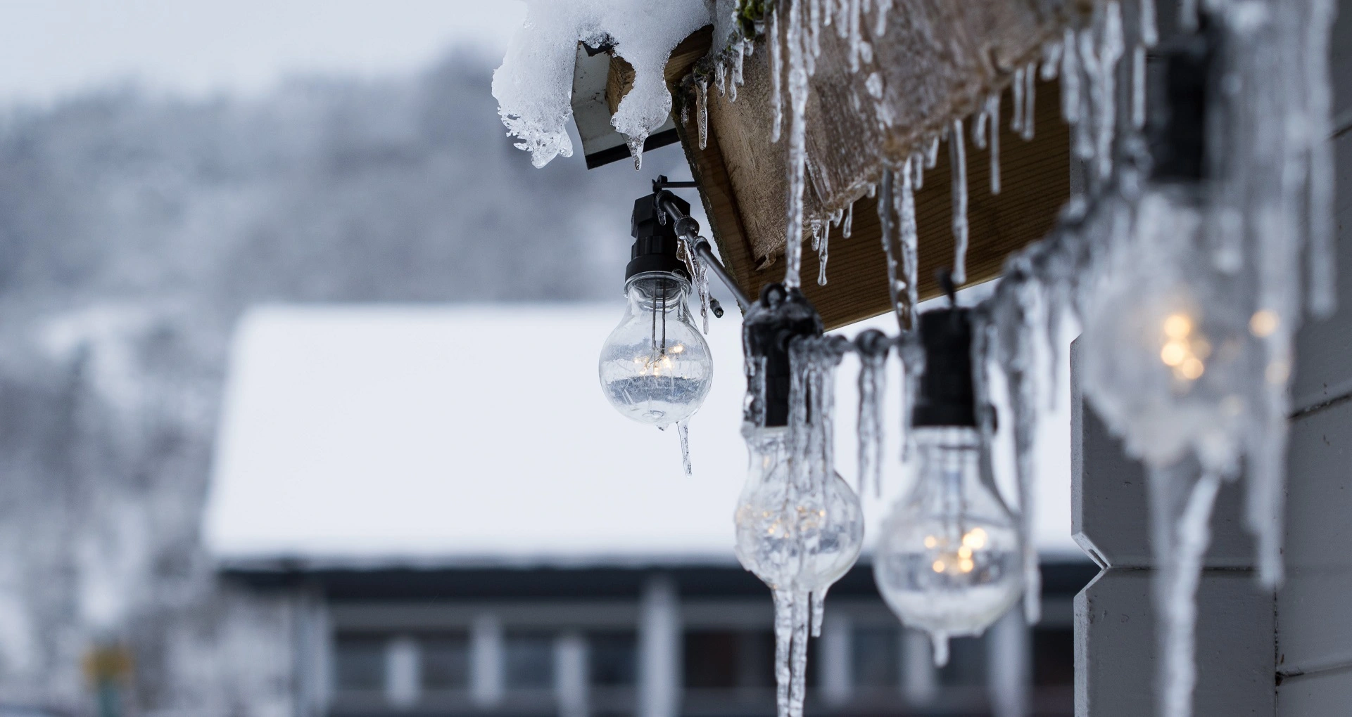 Schnee und Kälte ab Ende Januar in Deutschland