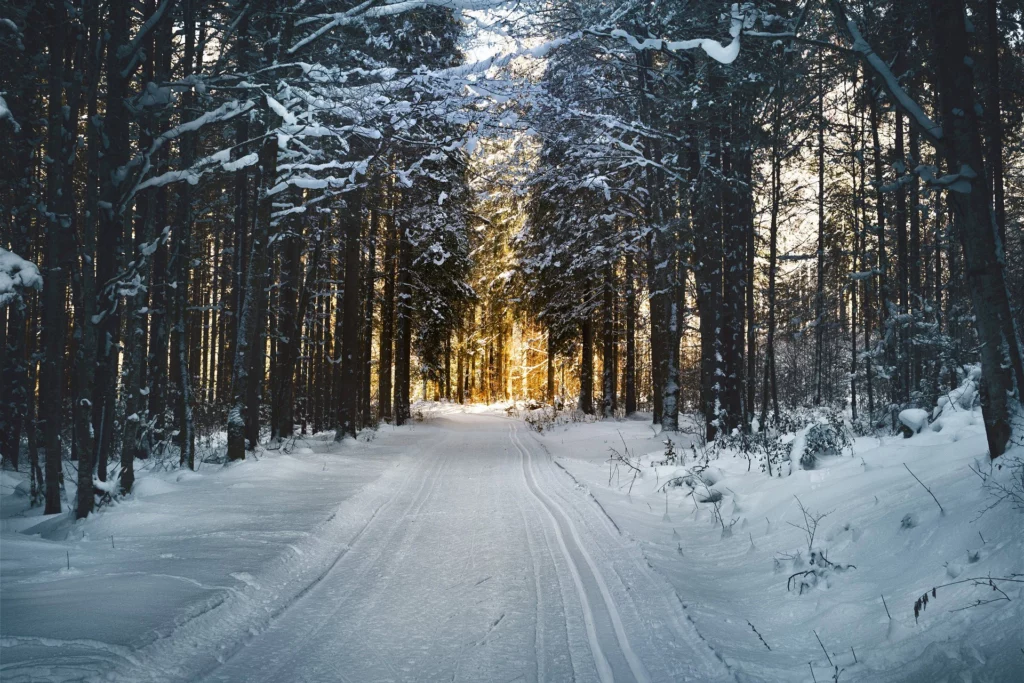 Wetterprognose im Dezember noch Schnee