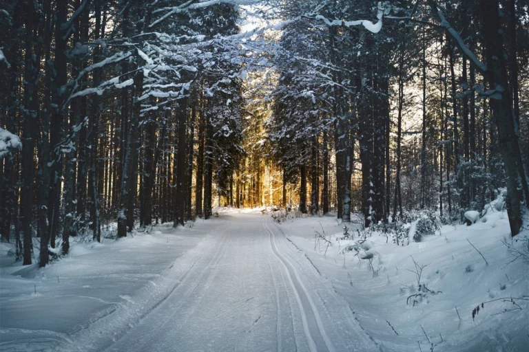 Wetterprognose im Dezember noch Schnee