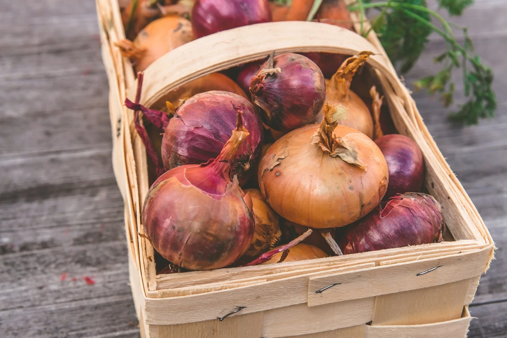 Zwiebeln Gesundheitsdrink