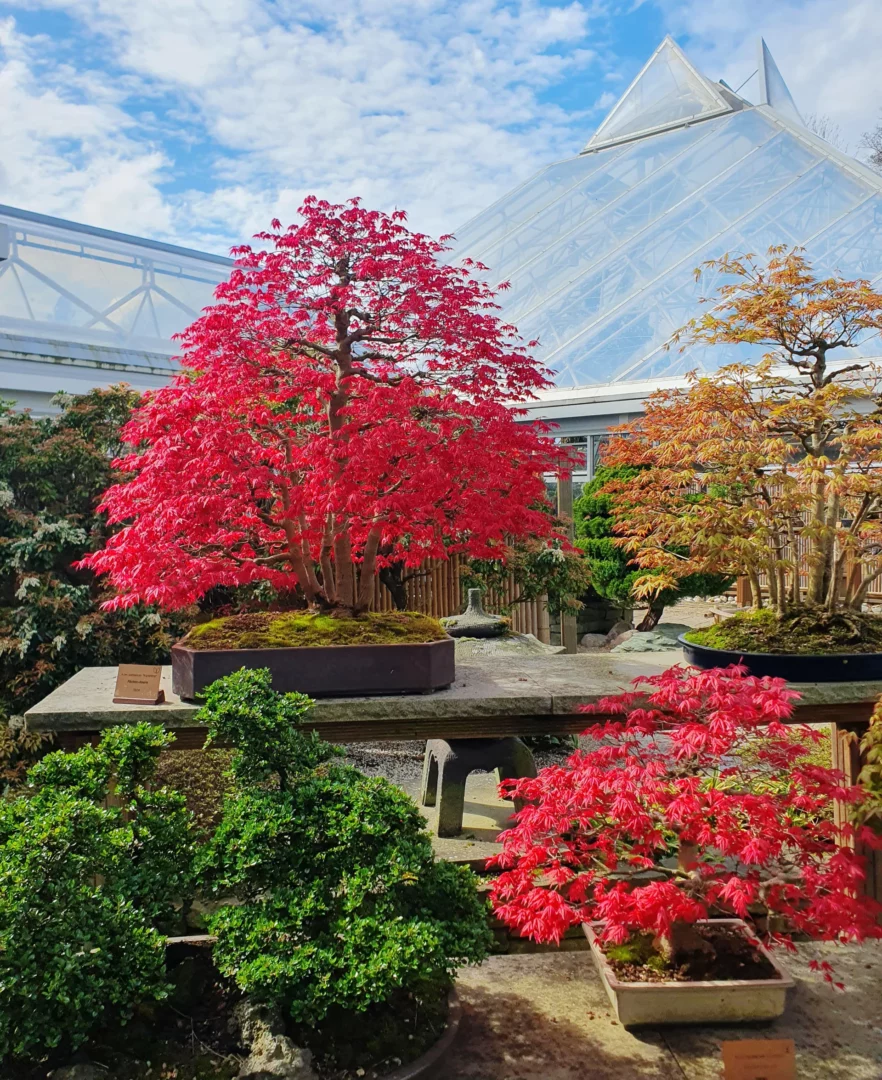 Botanischer-Garten Grugapark