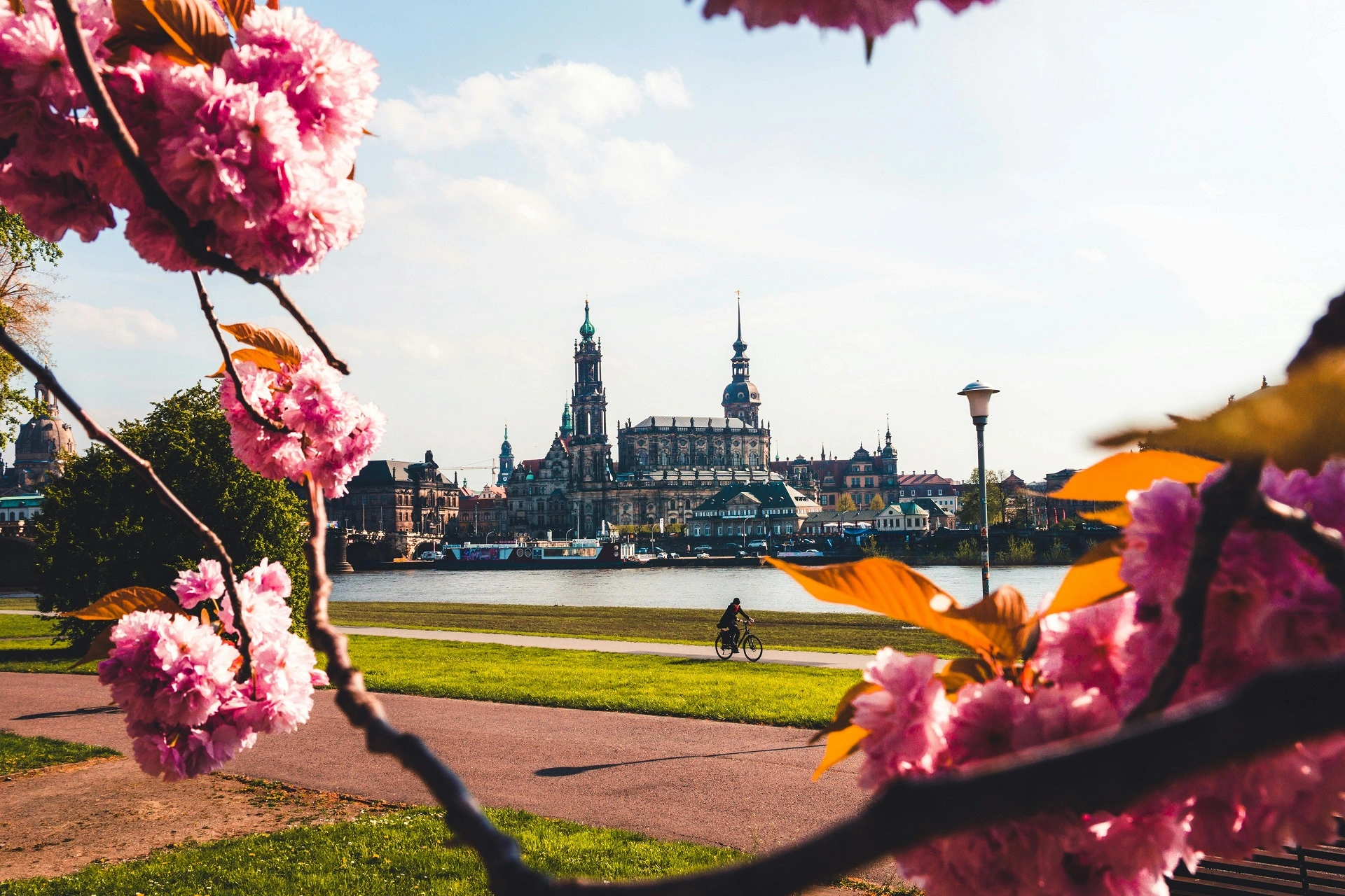 Dresden Natur und Erholung