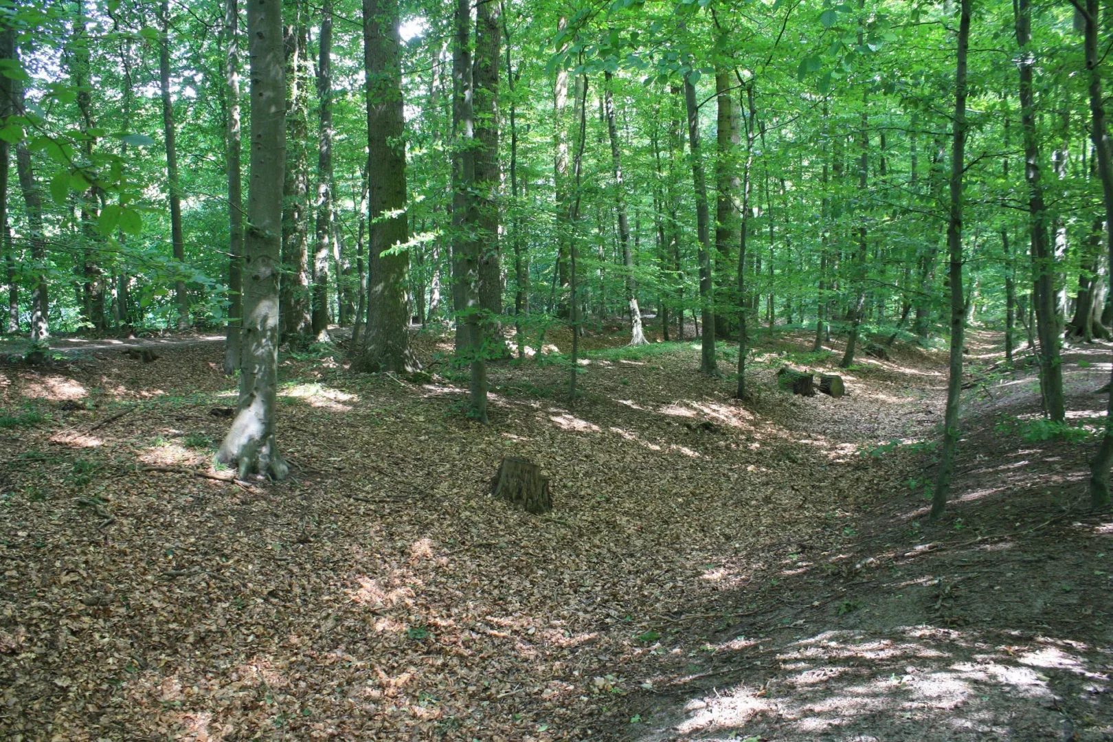 Lüneburg Landwehr