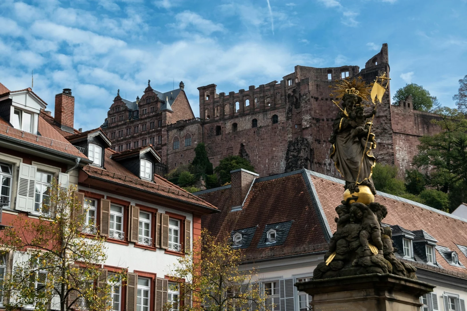 Schloss Heidelberg