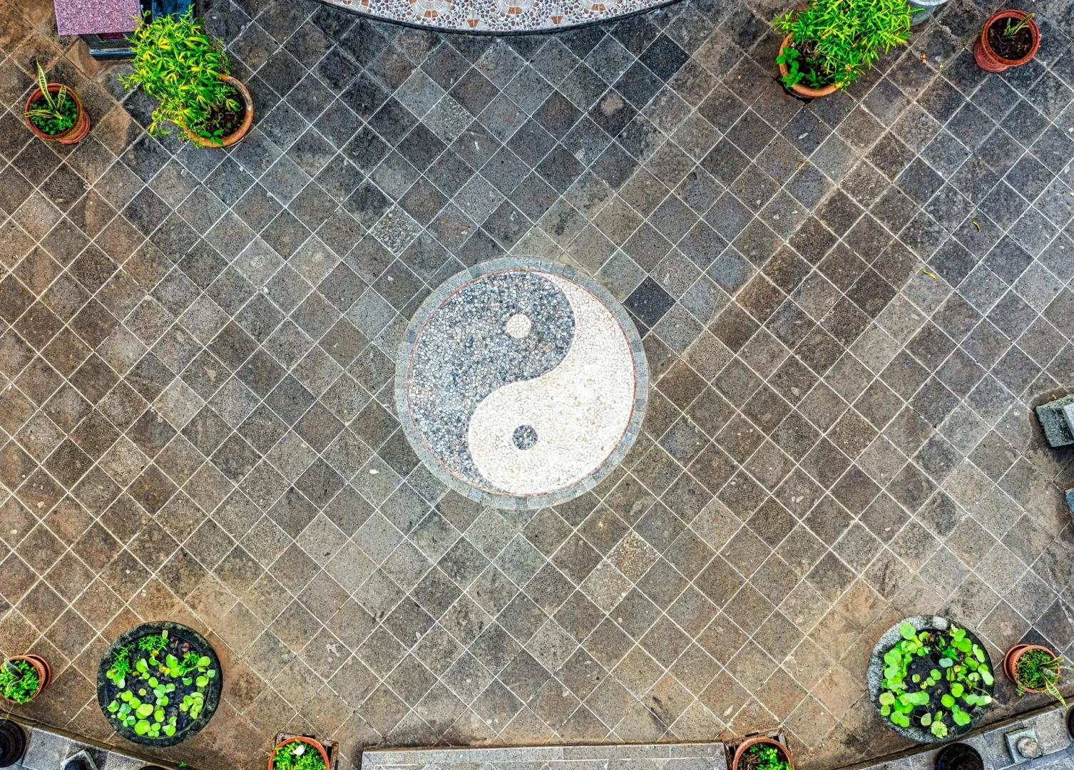 Ying und Yang in der Zielstrebigkeit
